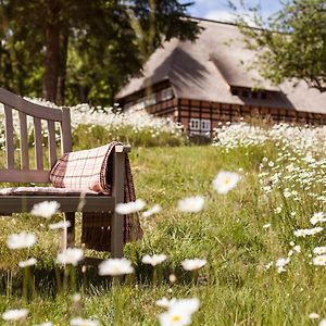 Park Am See X Nattika Ayurveda, Hotel Health Spirit